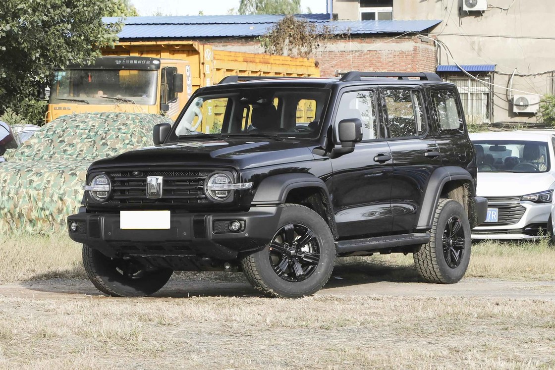  300 Young People Automatic Fuel Powered Car 5 Seats High Speed